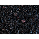 Thé noir aux 3 fruits noirs - Compagnie & Co