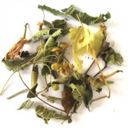 Tisane du Berger